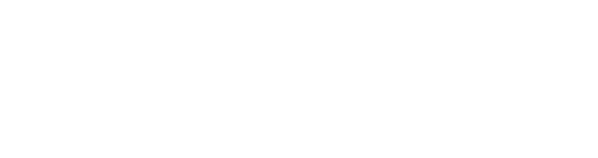 nukta logo
